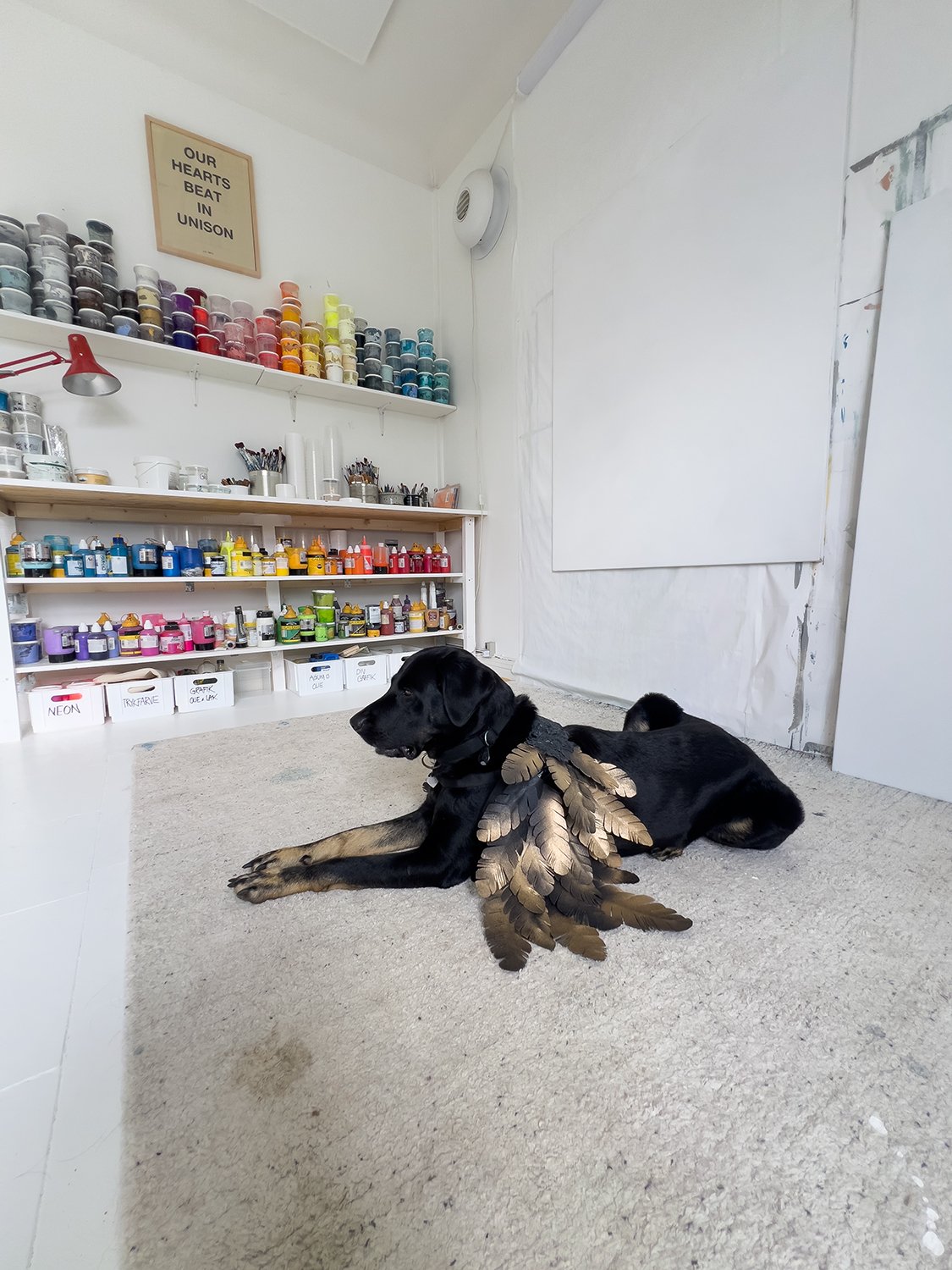 Rosa the Dog